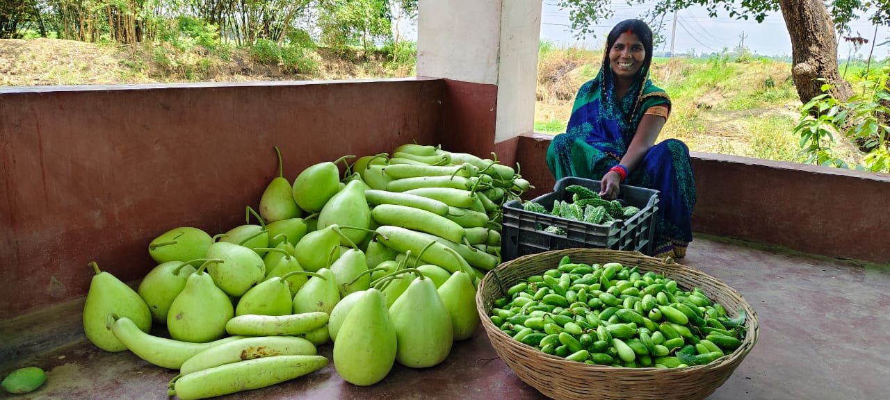Usha Devi Bagaha – Salha Vegetable Farming PEARL Project (1)